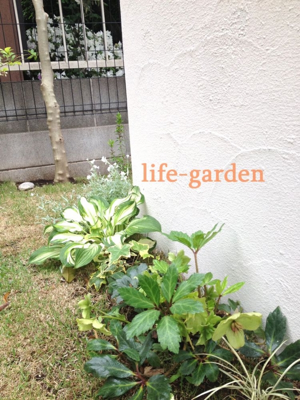 f:id:lif-g:20140506170926j:image:w360