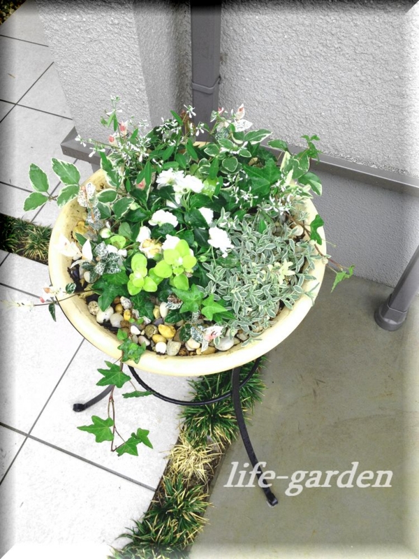 f:id:lif-g:20140527174211j:image:w360