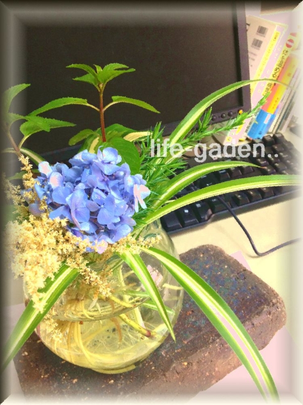 f:id:lif-g:20140618092612j:image:w360