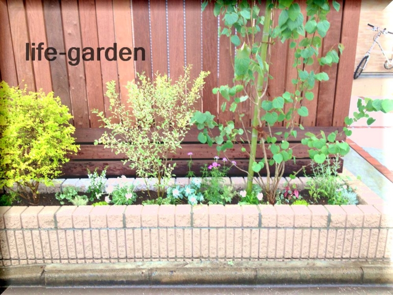 f:id:lif-g:20140624192112j:image:w360