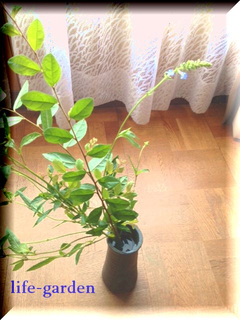 f:id:lif-g:20140821085817j:image:w360