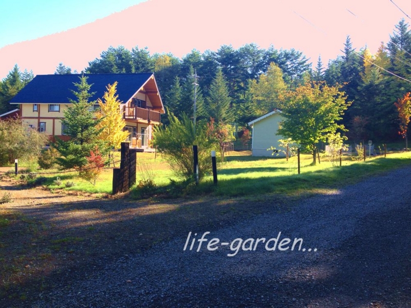f:id:lif-g:20141109140129j:image:w360