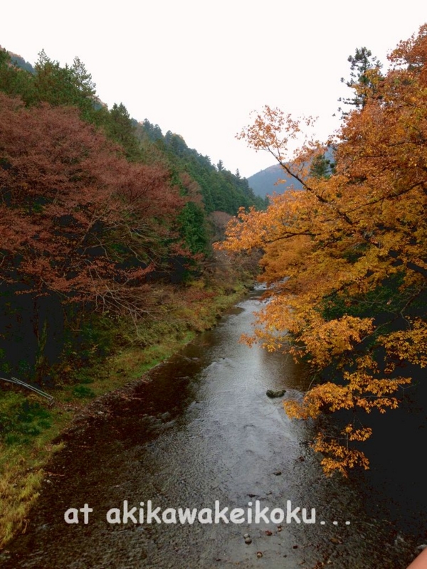 f:id:lif-g:20141201134523j:image:w360