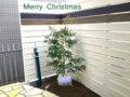 f:id:lif-g:20141225120723j:image:medium