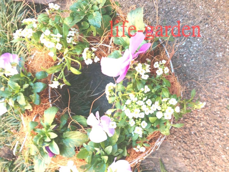 f:id:lif-g:20150108112728j:image:w360 f:id:lif-g:20150108112728j:image:w360