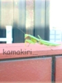 f:id:lif-g:20150115114706j:image:medium