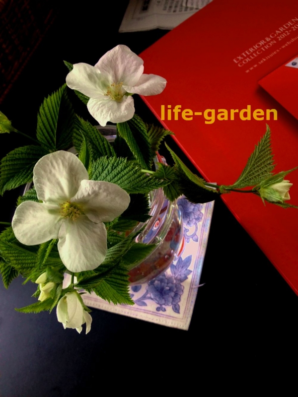 f:id:lif-g:20150410091811j:image:w360