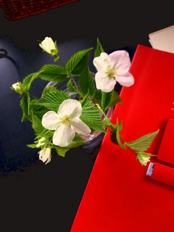 f:id:lif-g:20150410091822j:plain