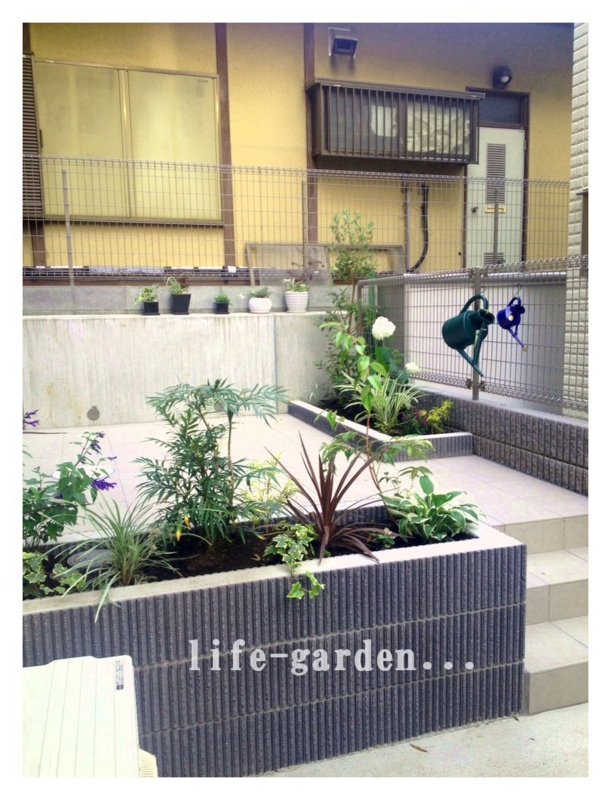 f:id:lif-g:20150624120418j:image:w360