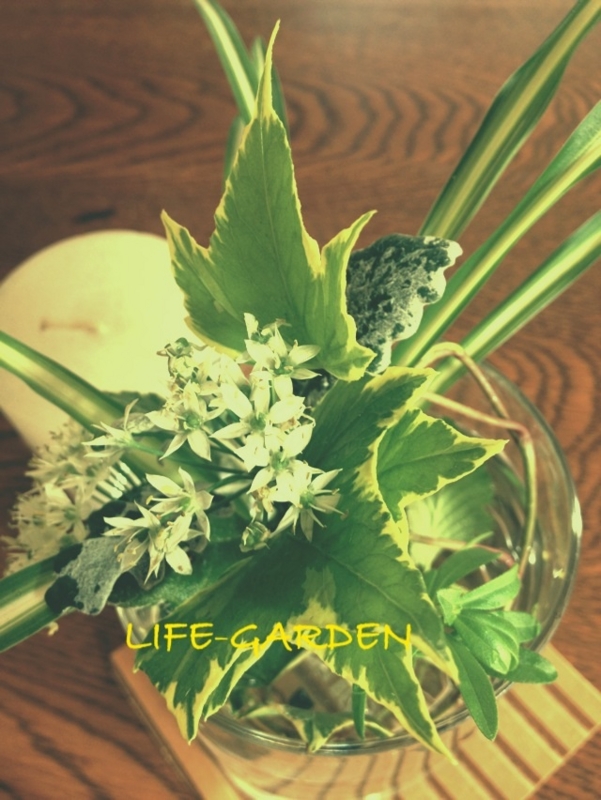 f:id:lif-g:20150914134649j:image:w360 f:id:lif-g:20150914134649j:image:w360