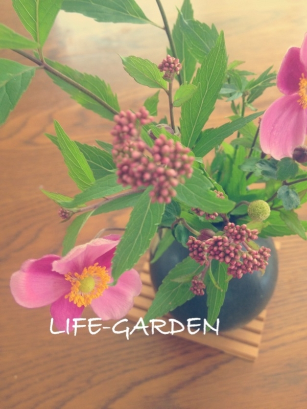 f:id:lif-g:20150923212816j:plain