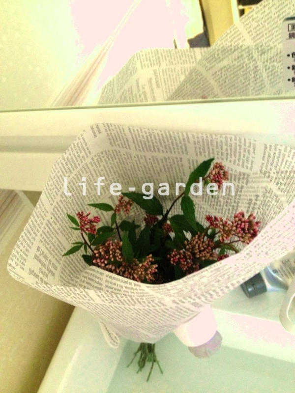 f:id:lif-g:20151009084017j:image:w360