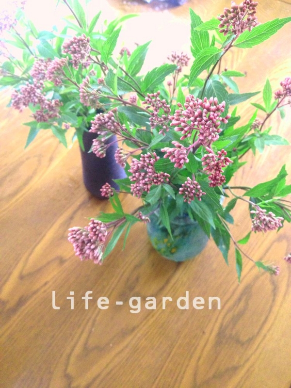 f:id:lif-g:20151009084034j:plain