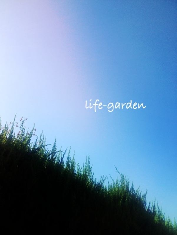 f:id:lif-g:20151013091500j:image:w360
