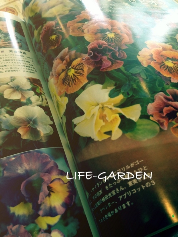 f:id:lif-g:20151021113959j:image:w360