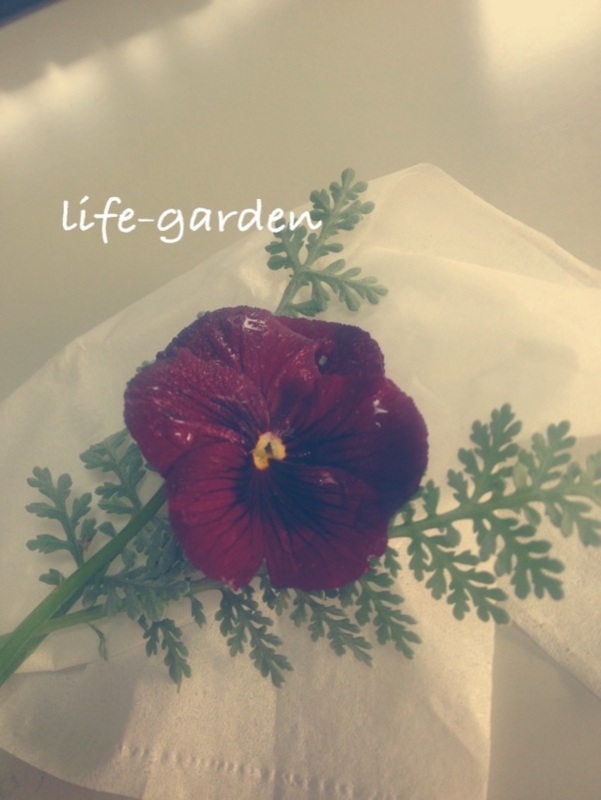 f:id:lif-g:20160121154606j:image:w360