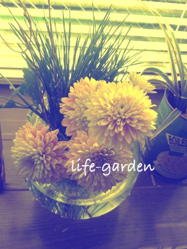 f:id:lif-g:20160123212700j:image:w360
