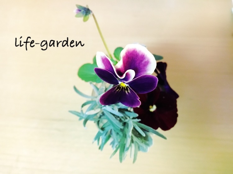 f:id:lif-g:20160301014558j:image:w360