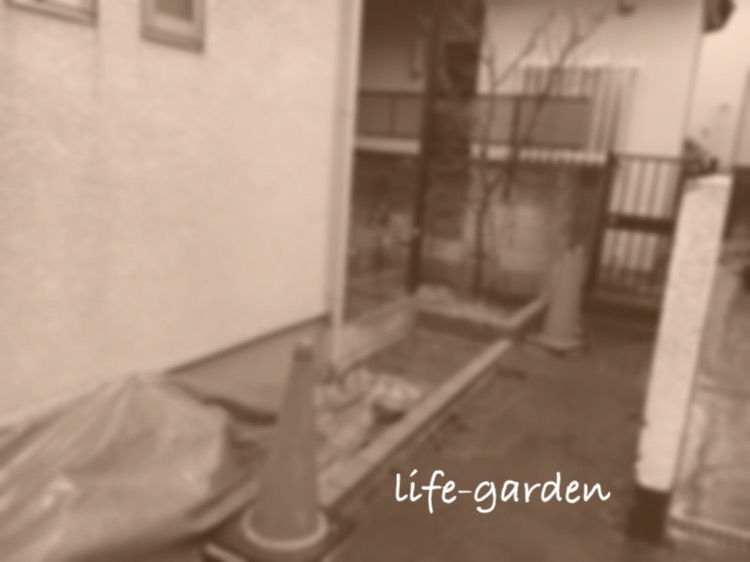 f:id:lif-g:20160309185608j:image:w360