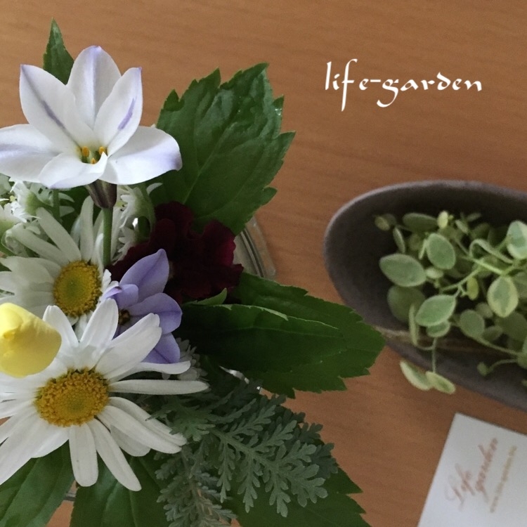 f:id:lif-g:20160403123242j:image:w360
