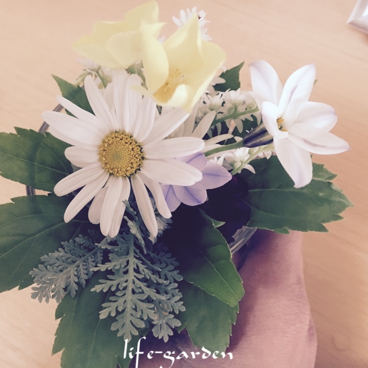 f:id:lif-g:20160403130820j:image:w360