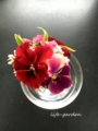 f:id:lif-g:20160405135002j:image:medium
