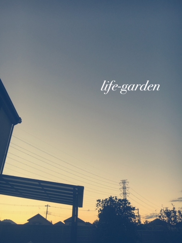 f:id:lif-g:20161103175057j:image:w360