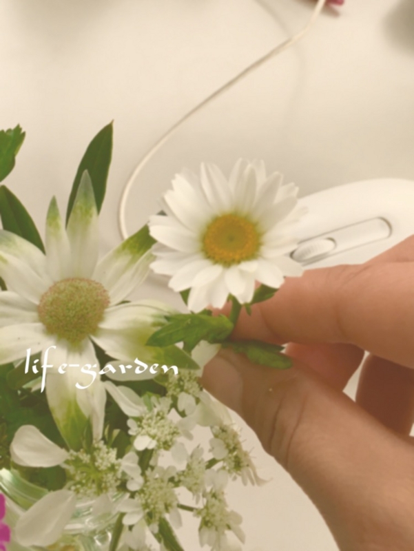 f:id:lif-g:20170404180624j:image:w360