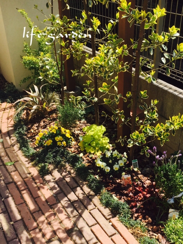 f:id:lif-g:20170404180627j:image:w360