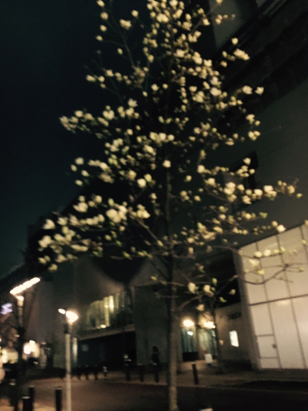 f:id:lif-g:20170408222103j:image:w360