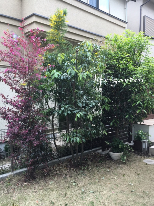 f:id:lif-g:20170430094706j:image:w360