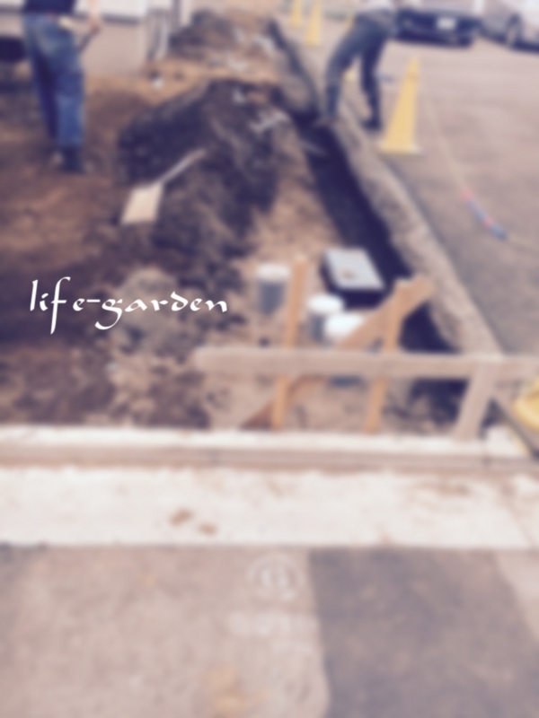 f:id:lif-g:20170513095815j:image:w360