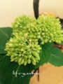 f:id:lif-g:20170519110623j:image:medium