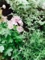 20170607103844