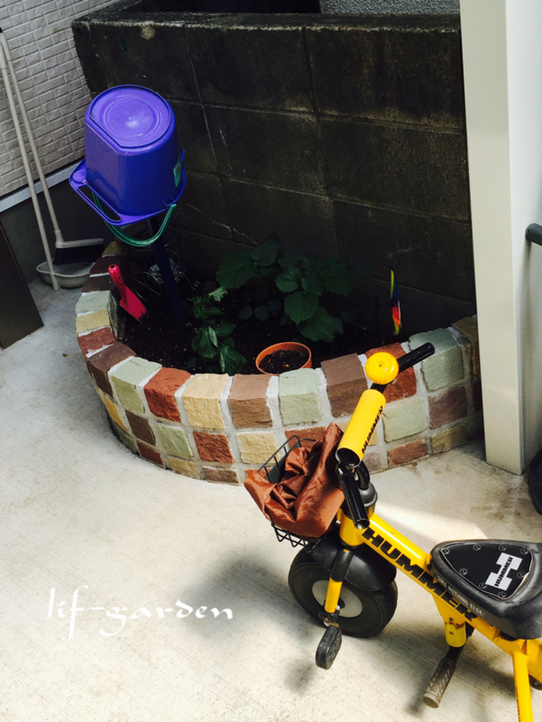 f:id:lif-g:20170611071117j:image:w360
