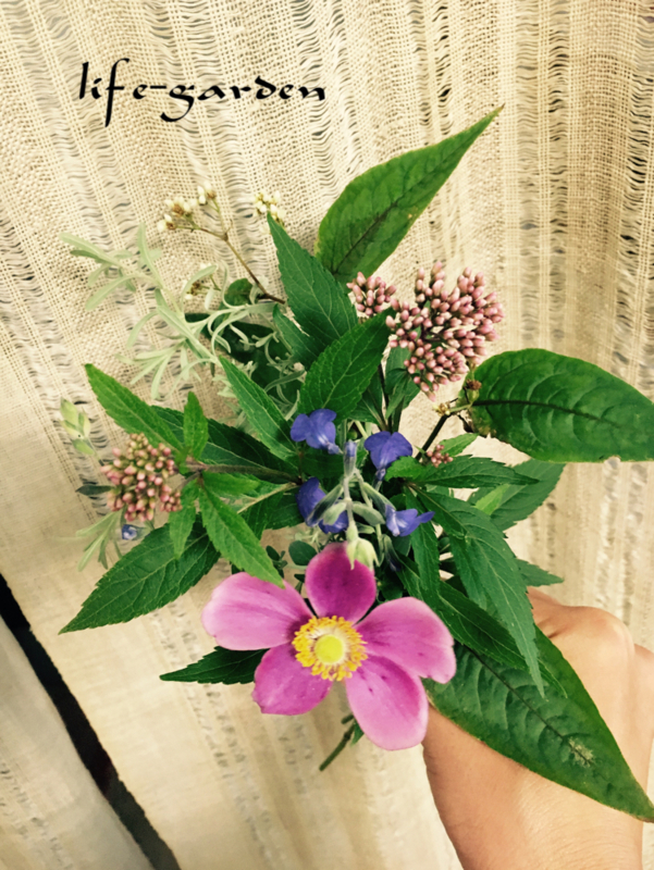 f:id:lif-g:20170930164100j:image:w360