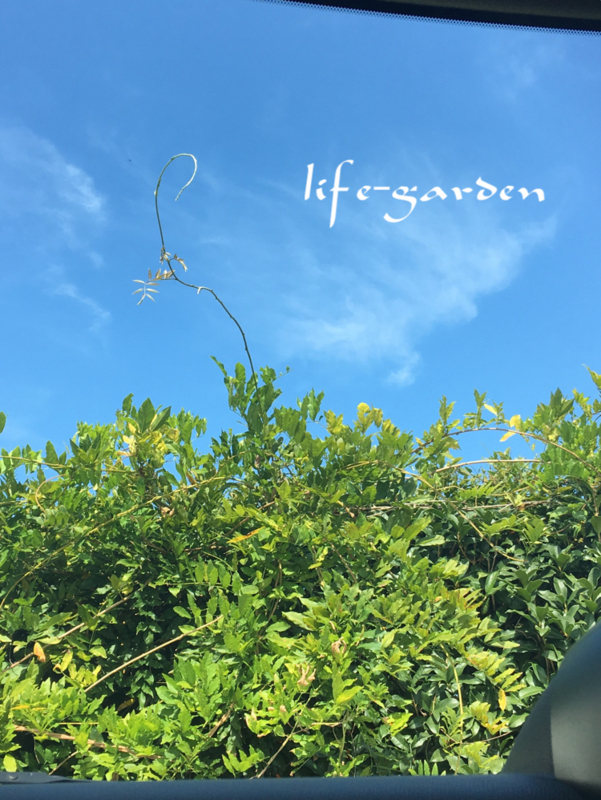 f:id:lif-g:20171009165436j:image:w360 f:id:lif-g:20171009165436j:image:w360