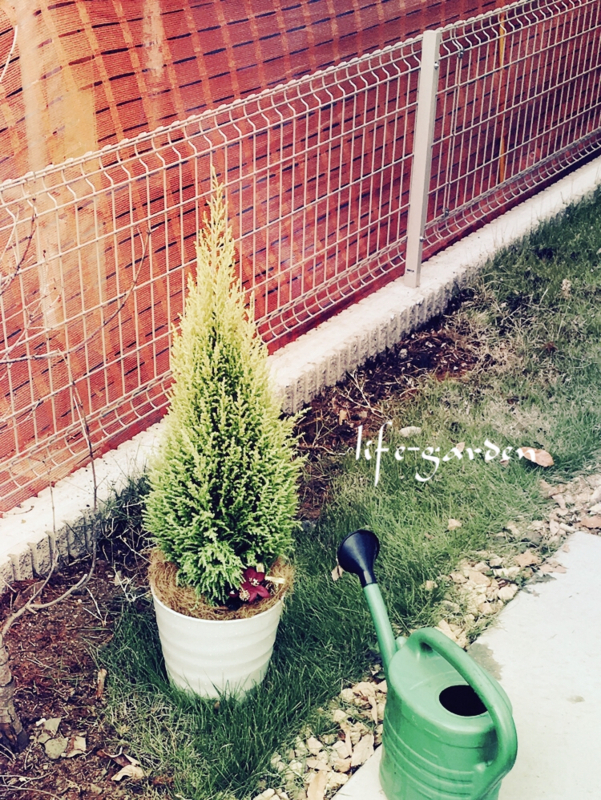 f:id:lif-g:20171122225112j:image:w360