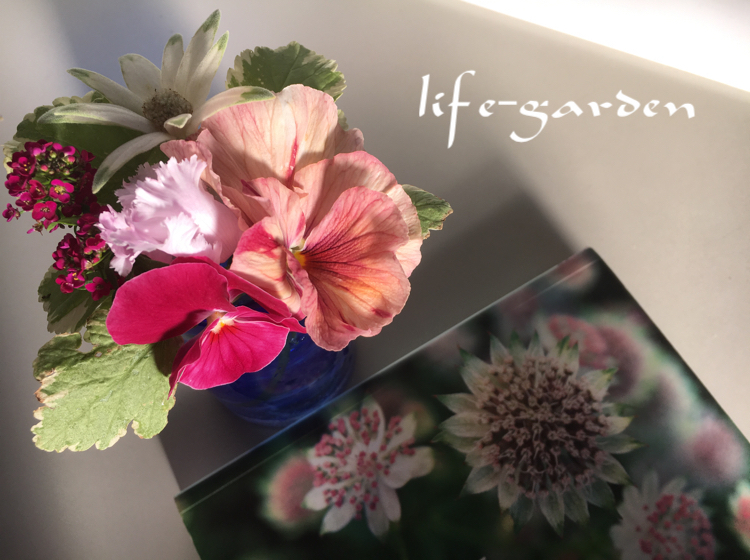 f:id:lif-g:20171126145707j:image:w360