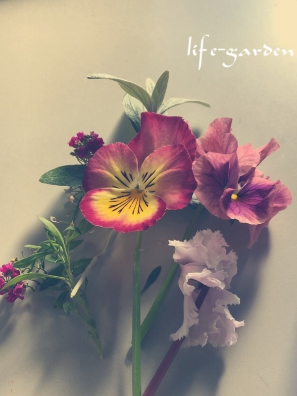 f:id:lif-g:20180114100319j:image:w360