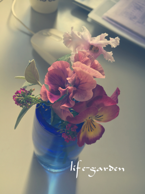 f:id:lif-g:20180114100327j:image:w360