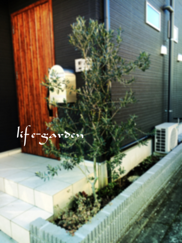 f:id:lif-g:20180212122055j:image:w360
