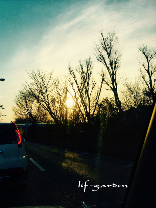 f:id:lif-g:20180224094857j:image:w360
