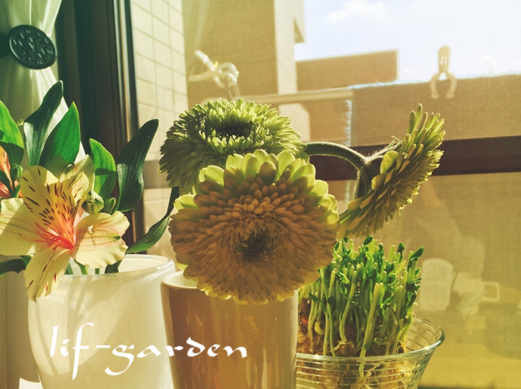 f:id:lif-g:20180227152902j:image:w360