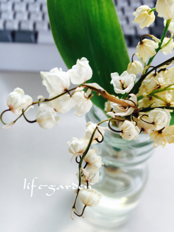 f:id:lif-g:20180506103228j:image:w360 f:id:lif-g:20180506103228j:image:w360