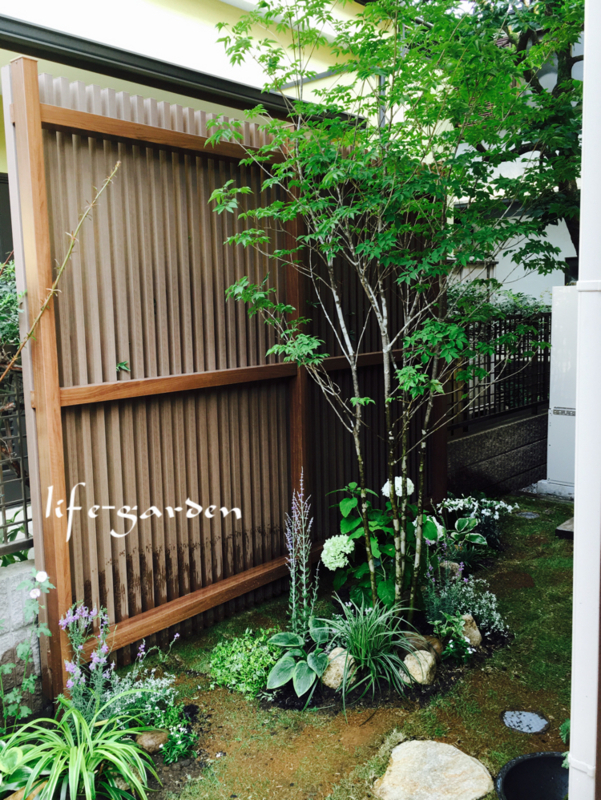 f:id:lif-g:20180622215354j:image:w360