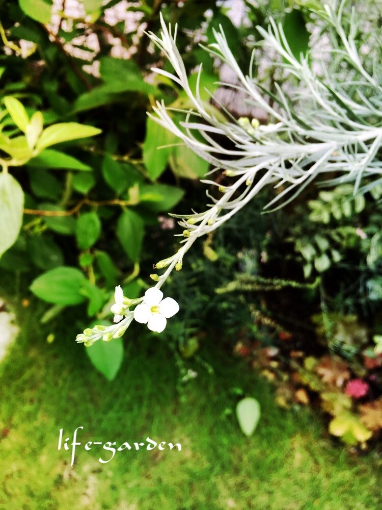 f:id:lif-g:20180806160119j:plain