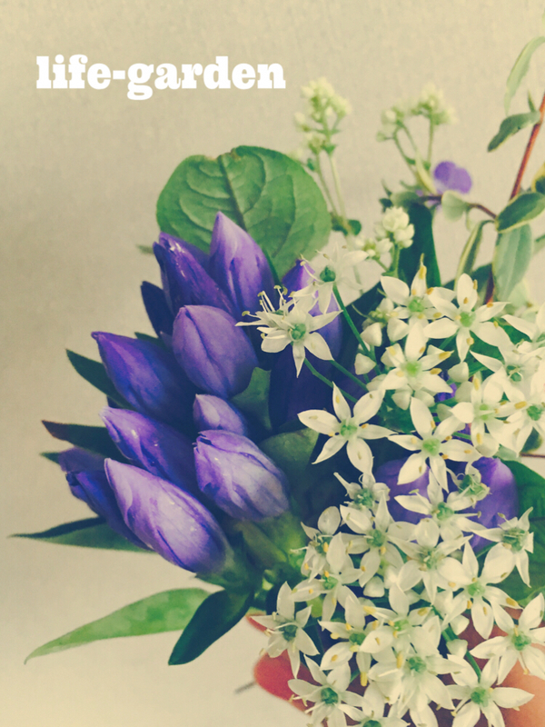 f:id:lif-g:20180919160918j:image:w360
