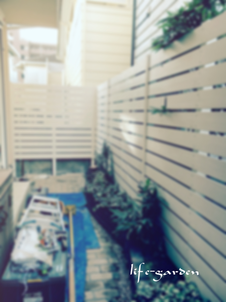 f:id:lif-g:20181203225230j:plain