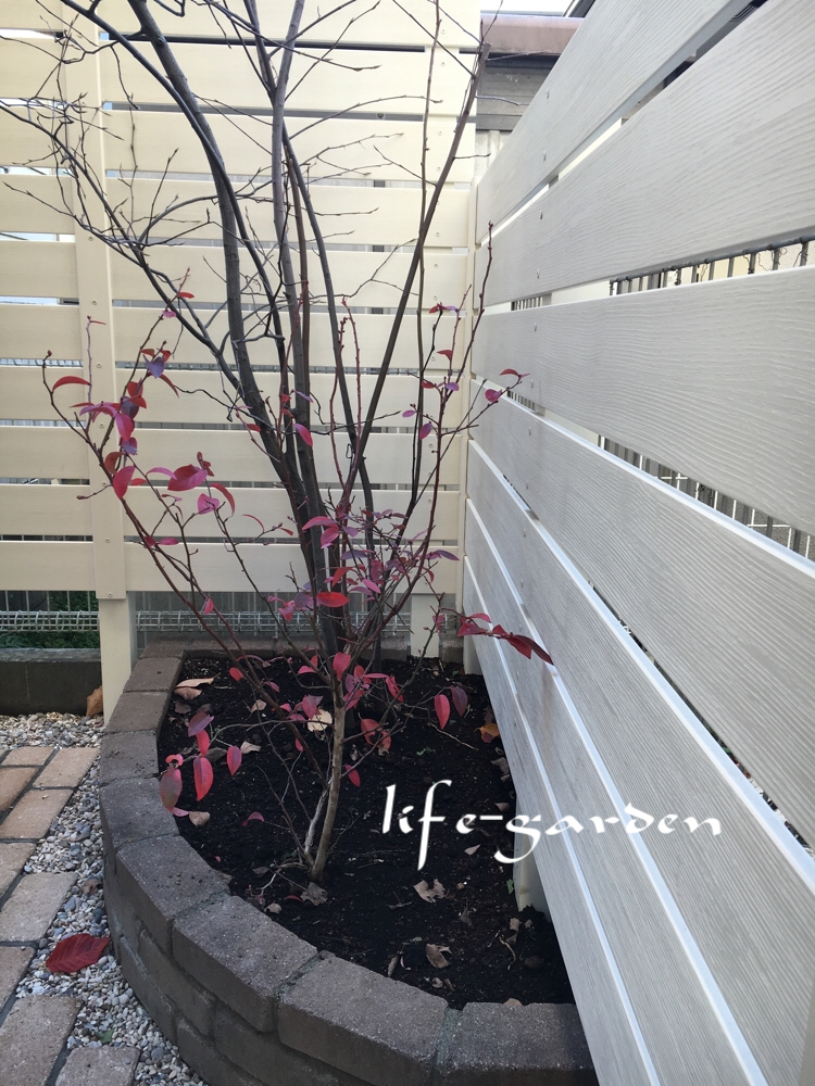 f:id:lif-g:20181221161903j:plain